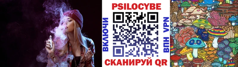 Галлюциногенные грибы Psilocybine cubensis купить закладку Железногорск-Илимский